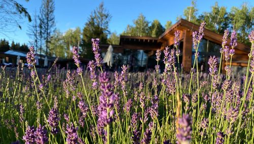 Раннее бронирование